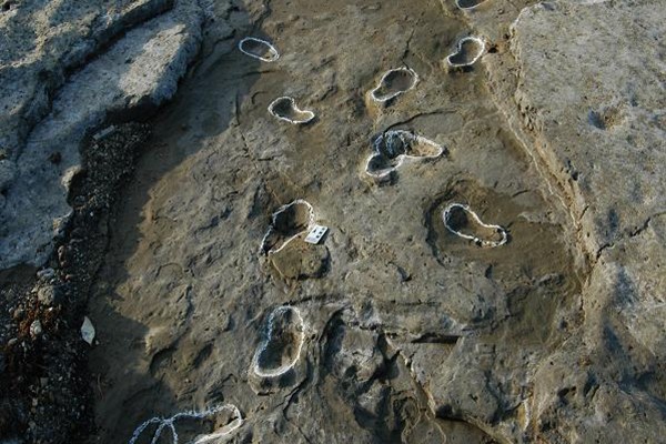 제주 사람발자국과 동물발자국 화석산지에 분포해 있는 사람 발자국 화석. /사진=문화재청.