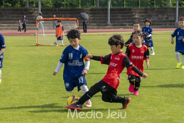 지난 17일 제주시 애향운동장에서 치러진 제17회 미디어제주기 전도유소년축구대회의 모습들. /사진=미디어제주.