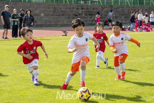 지난 17일 제주시 애향운동장에서 치러진 제17회 미디어제주기 전도유소년축구대회의 모습들. /사진=미디어제주.