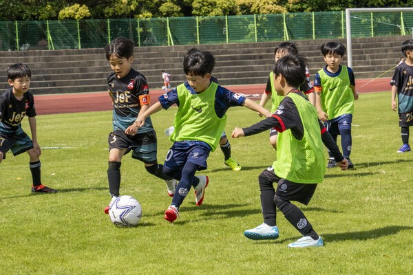 지난 17일 제주시 애향운동장에서 치러진 제17회 미디어제주기 전도유소년축구대회의 모습들. /사진=미디어제주.
