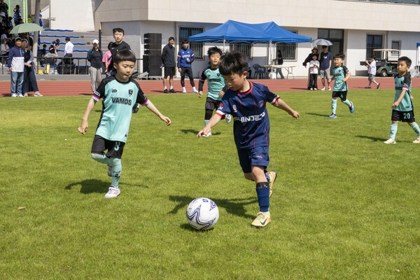 지난 17일 제주시 애향운동장에서 치러진 제17회 미디어제주기 전도유소년축구대회의 모습들. /사진=미디어제주.