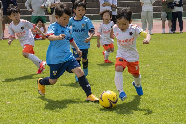 지난 17일 제주시 애향운동장에서 치러진 제17회 미디어제주기 전도유소년축구대회의 모습들. /사진=미디어제주.