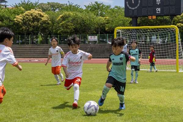 지난 17일 제주시 애향운동장에서 치러진 제17회 미디어제주기 전도유소년축구대회의 모습들. /사진=미디어제주.