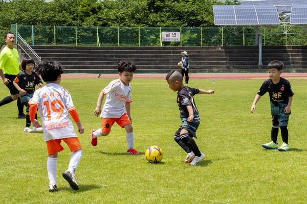 지난 17일 제주시 애향운동장에서 치러진 제17회 미디어제주기 전도유소년축구대회의 모습들. /사진=미디어제주.