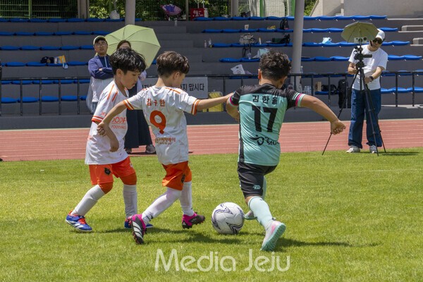 지난 17일 제주시 애향운동장에서 치러진 제17회 미디어제주기 전도유소년축구대회의 모습들. /사진=미디어제주.
