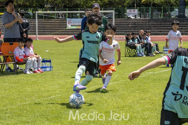 지난 17일 제주시 애향운동장에서 치러진 제17회 미디어제주기 전도유소년축구대회의 모습들. /사진=미디어제주.
