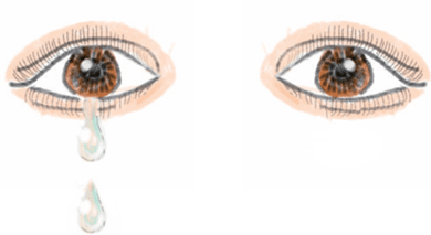 김성구 그림, 김신자 동시 