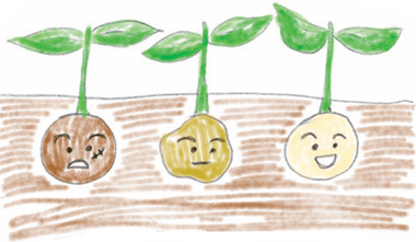 강성구 그림 김신자 동시 