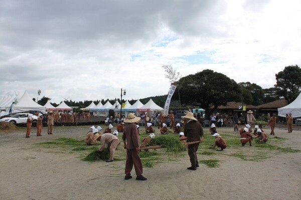 촐비기 재현장면