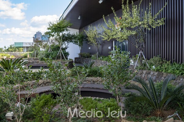 제주도청 옥상에 조성된 '옥상정원'. /사진=미디어제주.