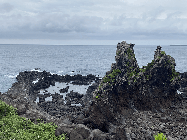 새들이 쉬어가는곳 게우지코지