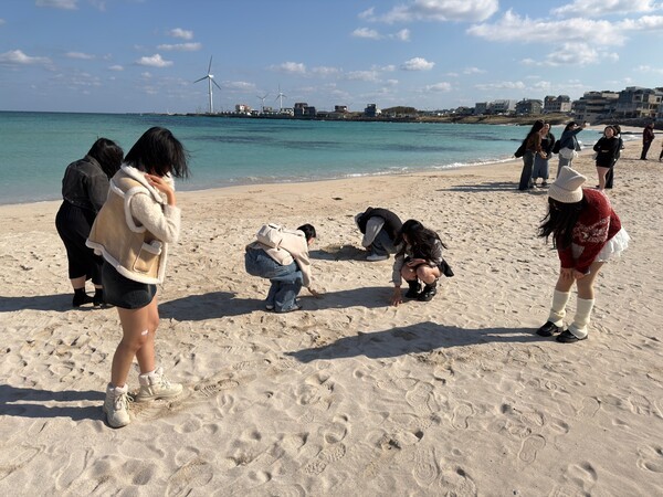 지난 19일부터 21일까지 제주로 수학여행을 온 성일정보고등학교 학생들이 동부지역 해변에서 플로깅 활동 중인 모습. /사진=제주관광공사