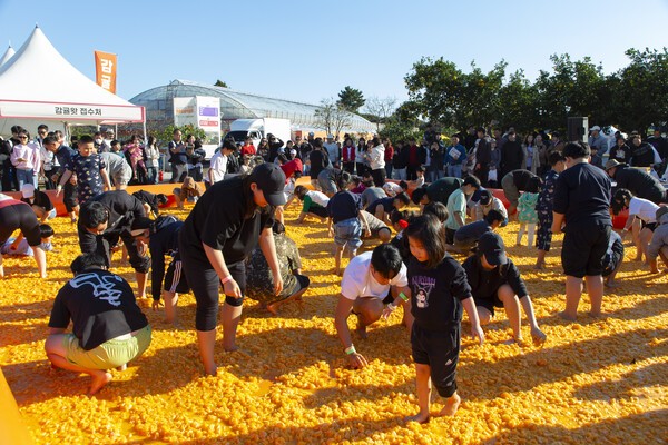 스페인 토마토 축제를 재해석한 신규 콘텐츠 ‘넘버원 감귤왓’ 진행 모습. /사진=제주국제감귤박람회조직위
