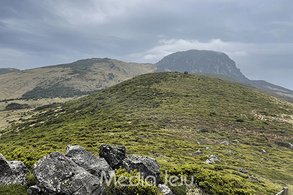 한라산국립공원. /사진=미디어제주.