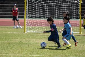 [포토] 뜨거웠던 제16회 미디어제주기 유소년축구대회, 결승