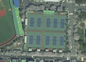 “연정정구장이 윔블던 구장쯤 되는가 봐요”