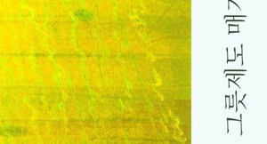 말의 결을 따라 삶을 적는다_김신자 수필문학의 진정성과 제주어 감각 (1)