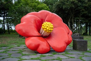 제8차 4.3희생자 및 유족 추가신고, 제주도 차원 심사 마무리